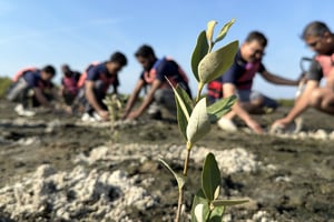 GMA's Roadmap to Sustainability: Our 5-Year Commitment