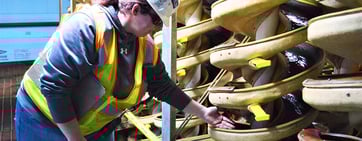 GMA operations in USA obtain international quality and environmental management standards